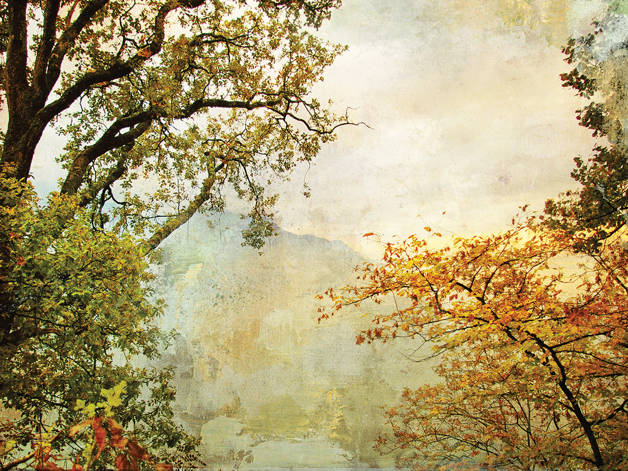 Mountain Mist Memories