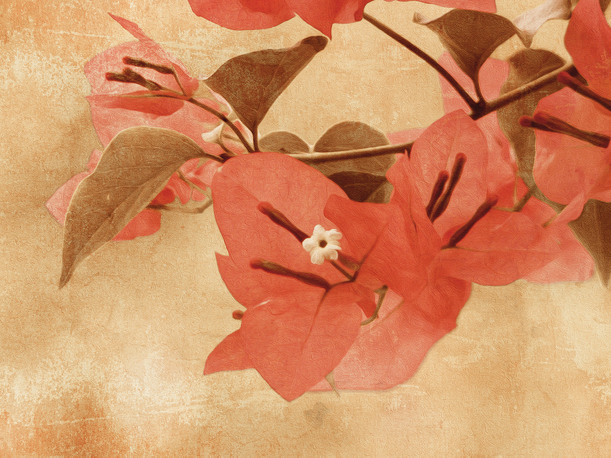 Vintage Tropical Bougainvillea