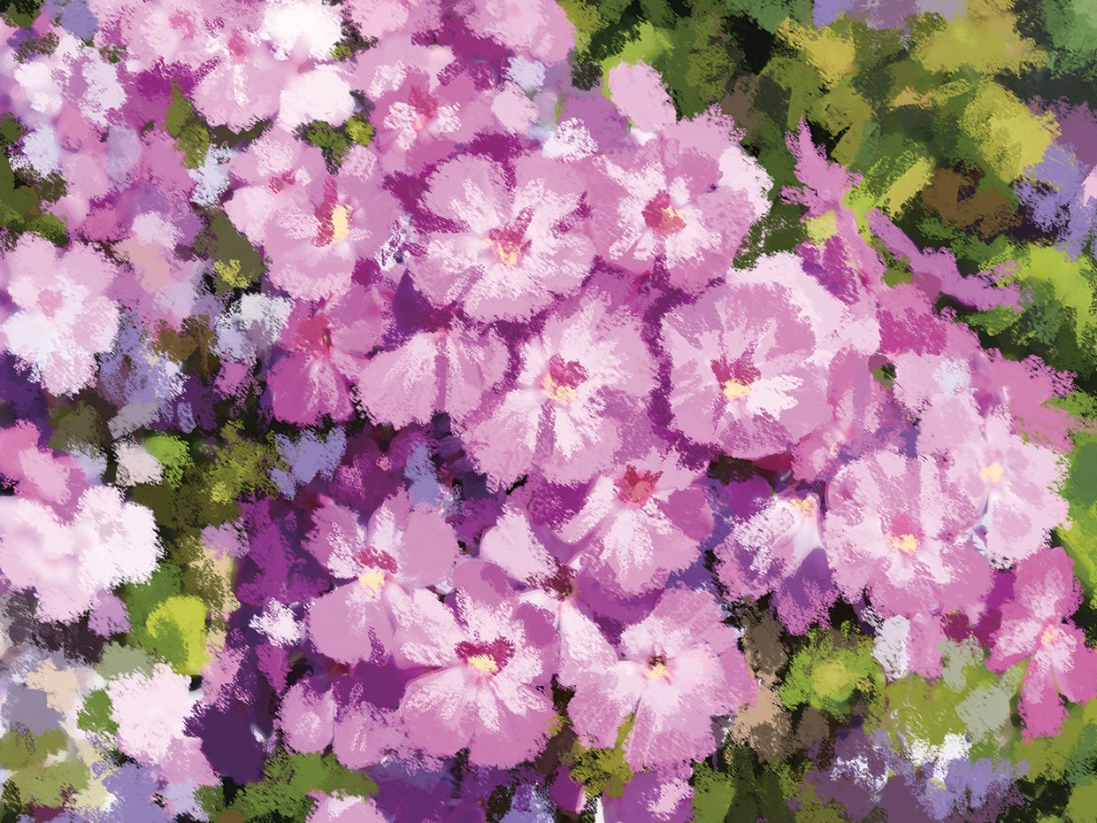 Purple Flower Summer Cottage