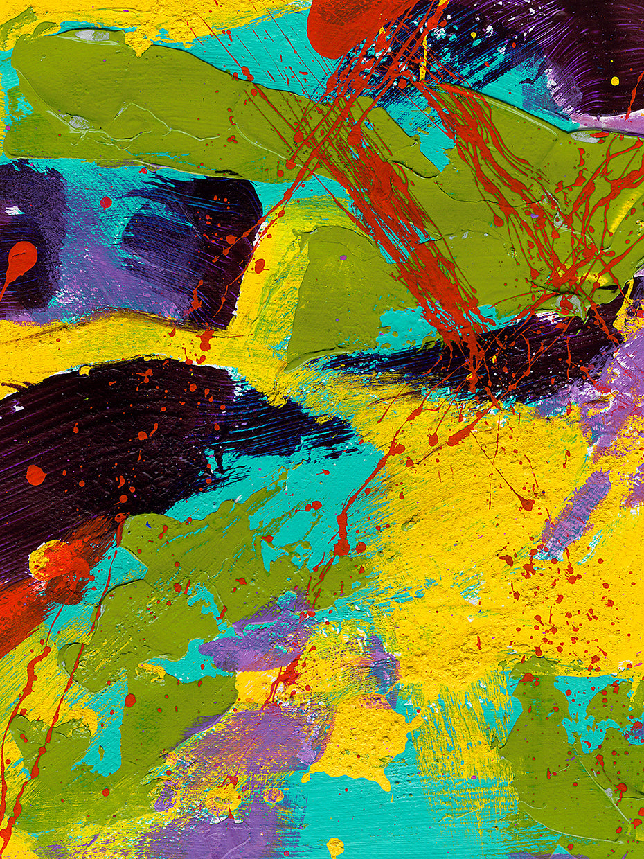 Brazilian Rain Forest handcrafted art work on canvas or framed canvas prints by Dan Houston