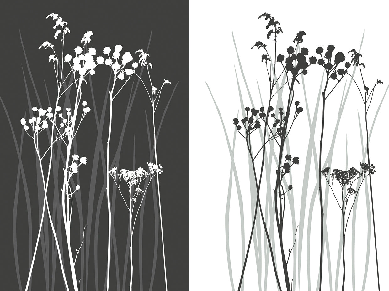 Mirror Mirror Grace Grasses