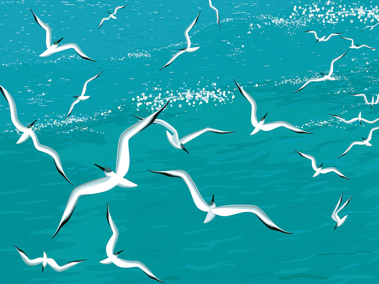 Arte de la lona de las gaviotas de la playa de Swooping