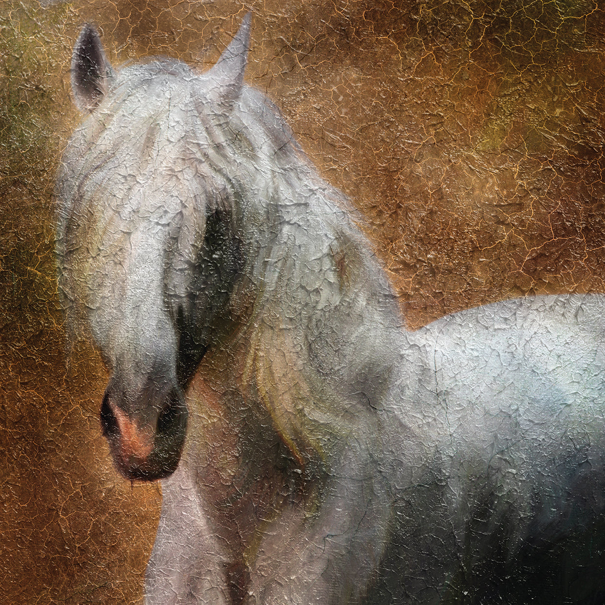 Andalusian White Stallion