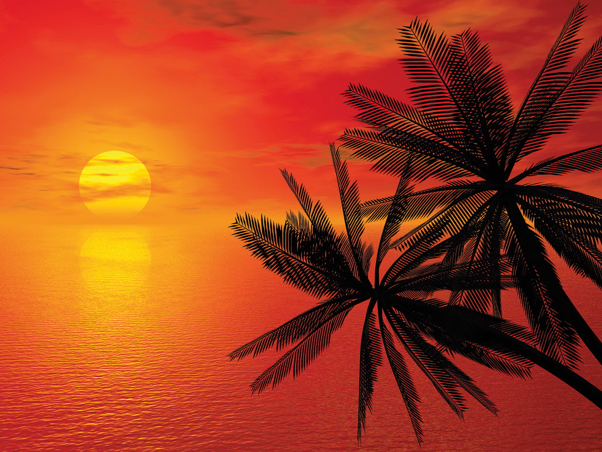 Two Palms Scarlet Sunset
