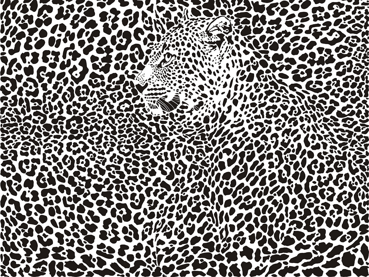 Can you Spot the Leopard?