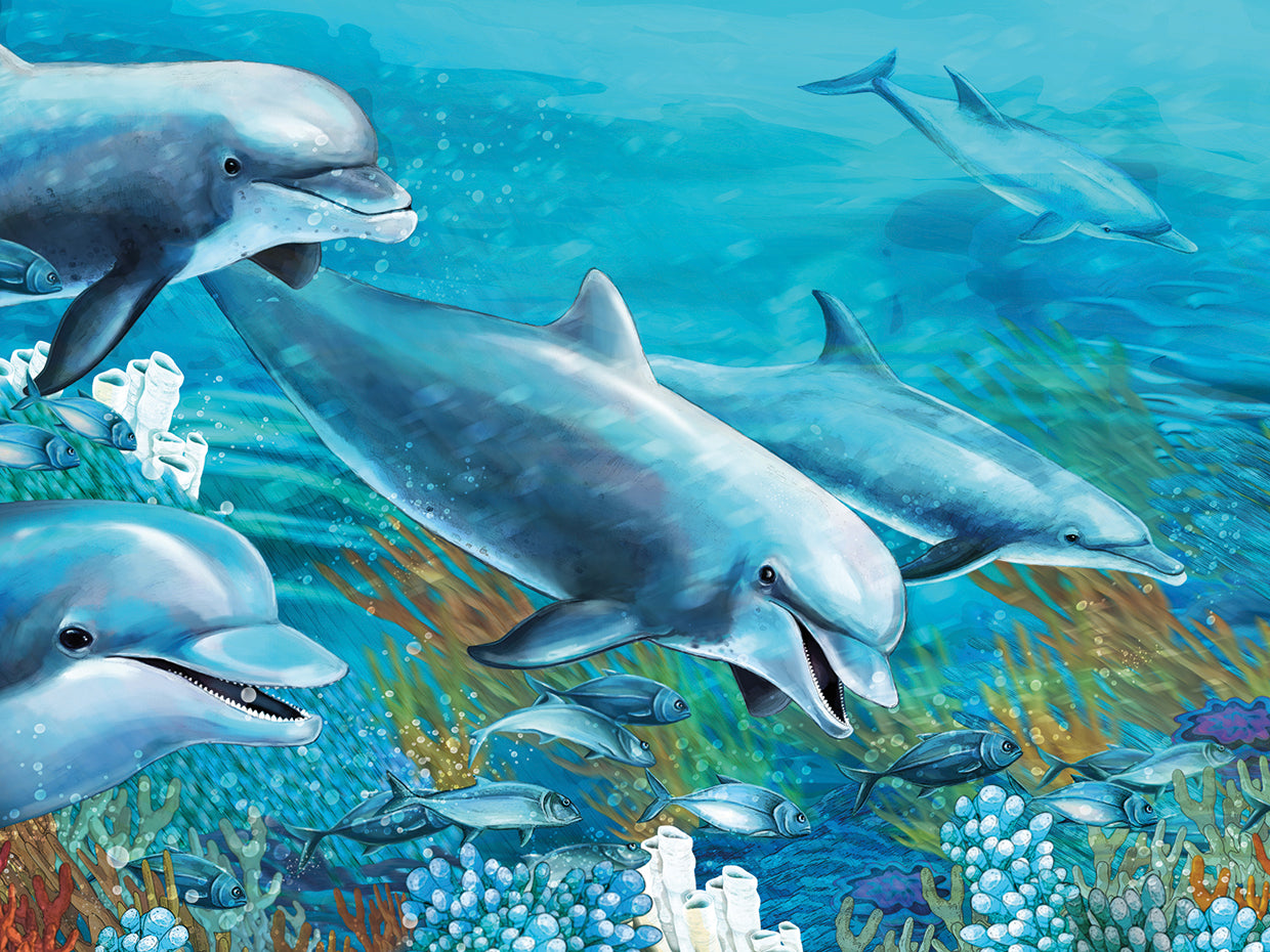 Coral Reef Dolphin Dance