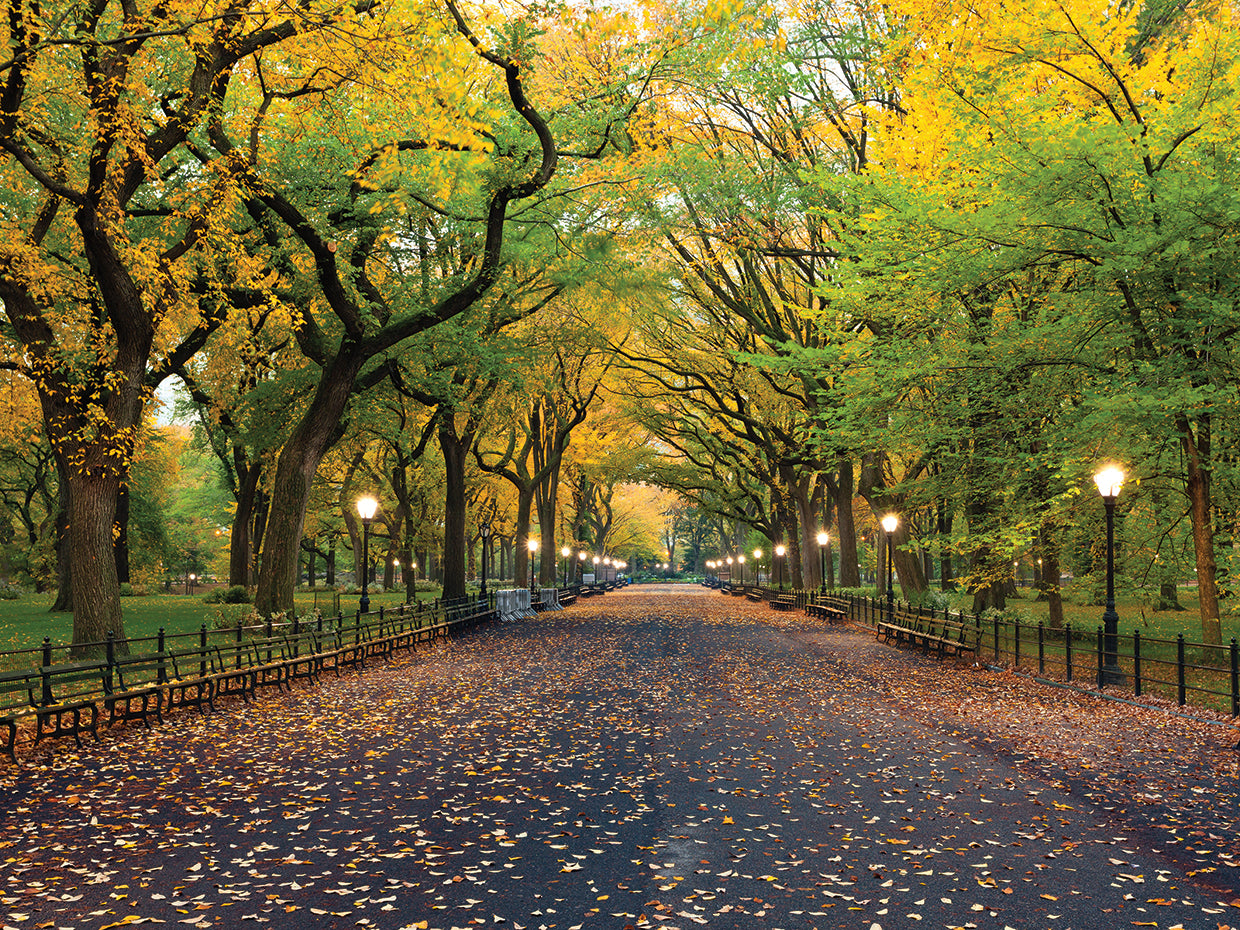Central Park Fall Equinox