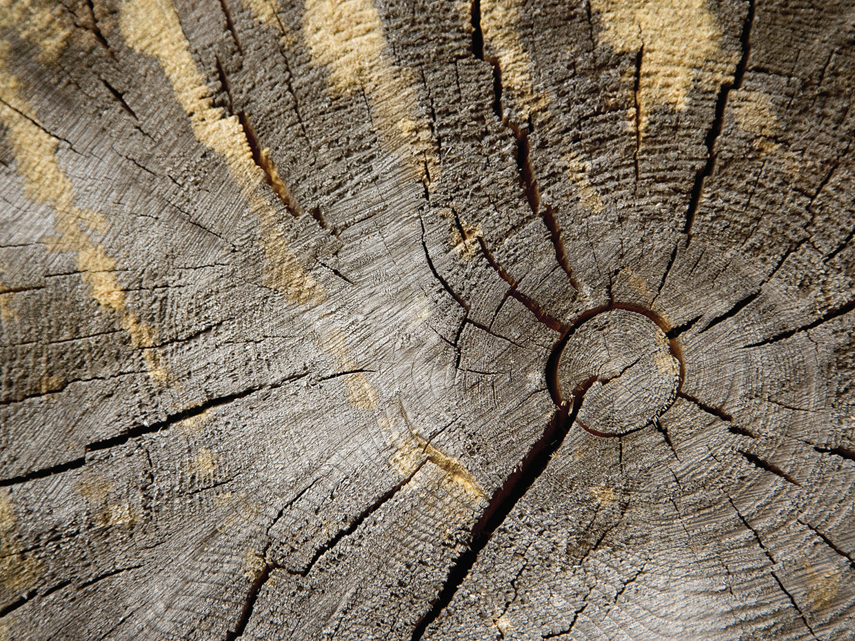 Arte de lienzo de anillos de madera de larga duración