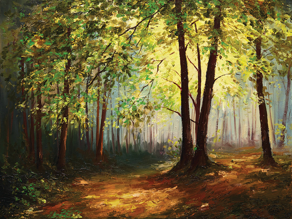 Sun Sparkles Summer Forest