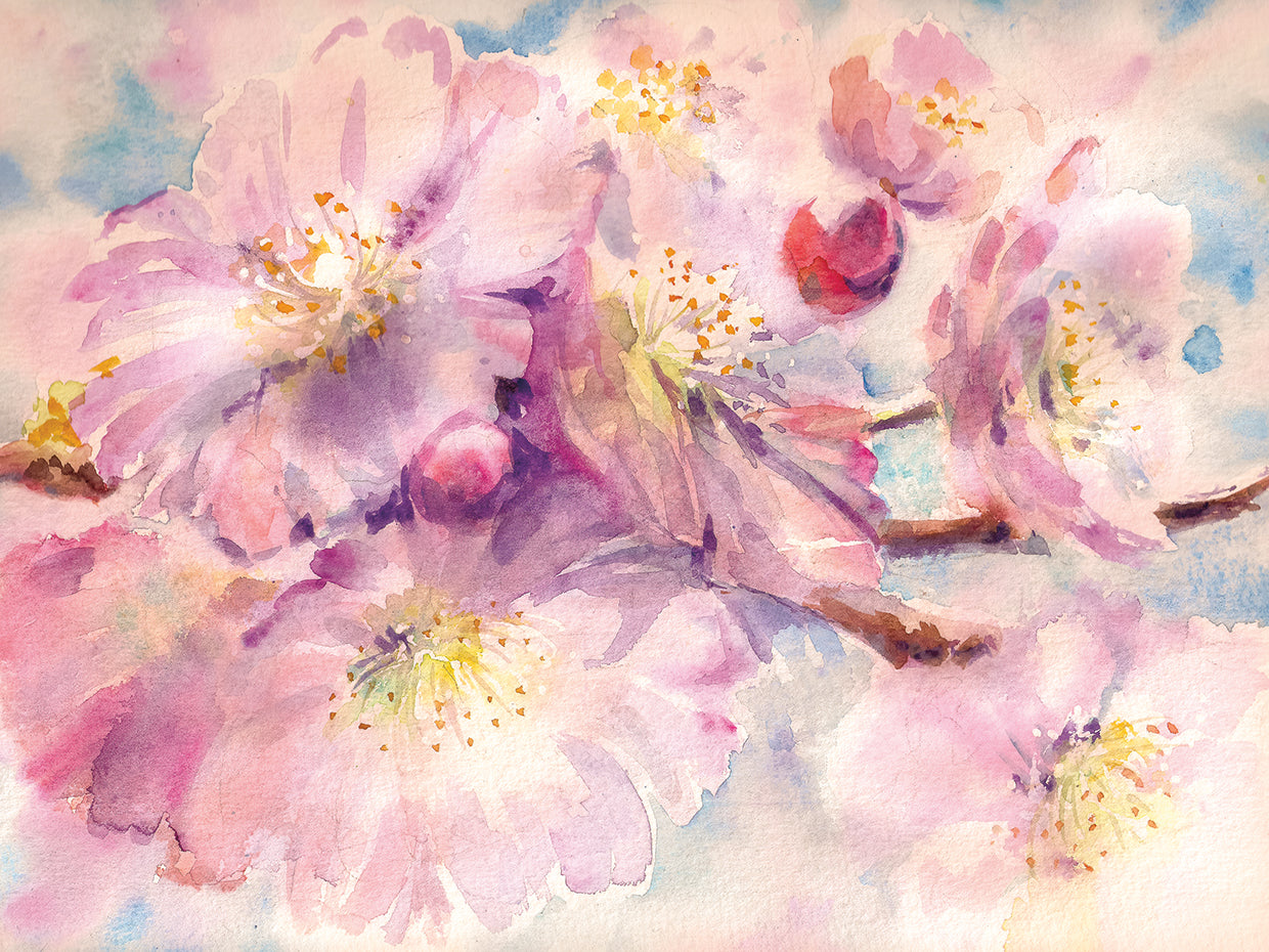 Arte de la lona de las flores de cerezo de la brisa de primavera
