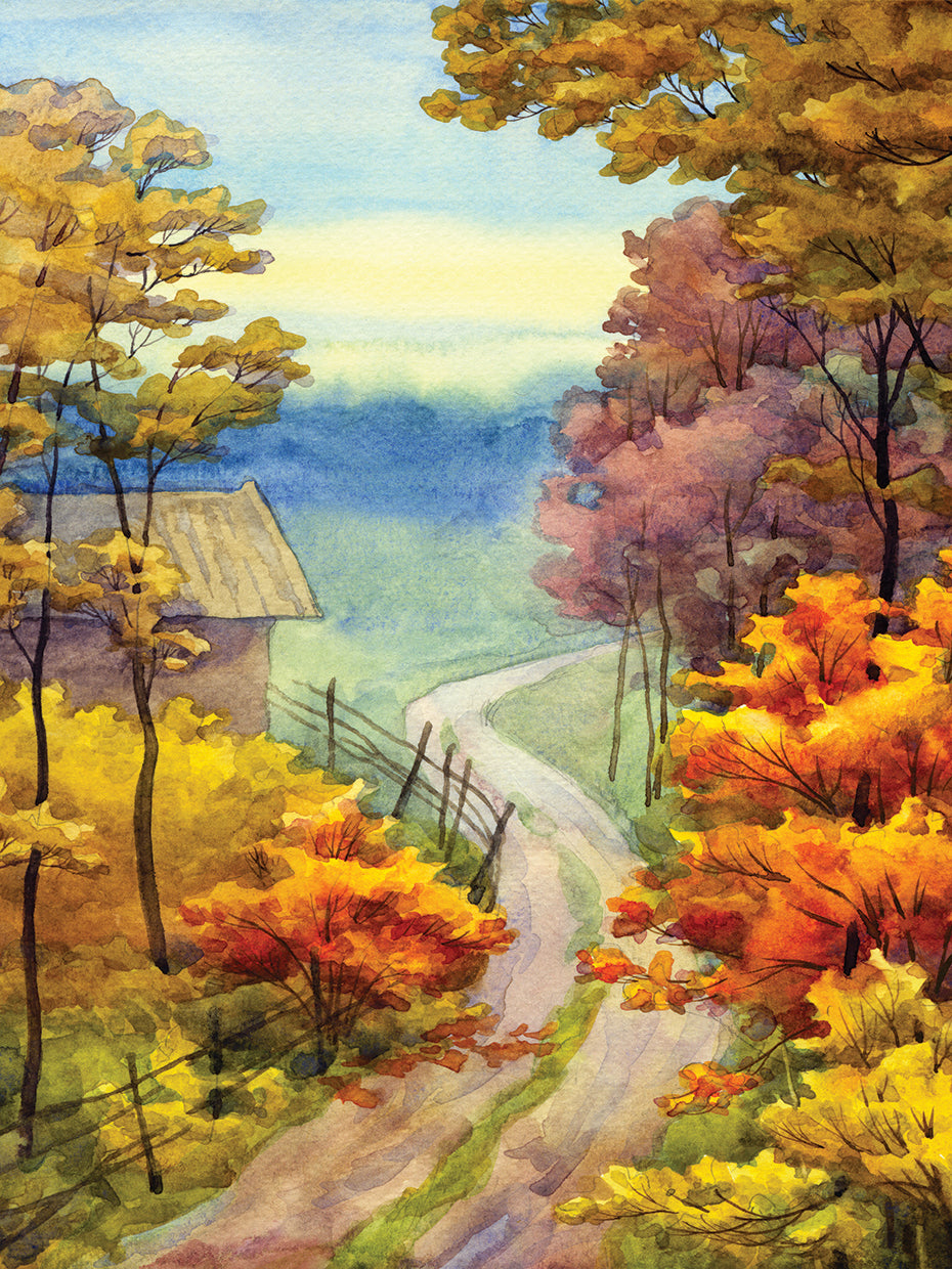 We're Off to See the Colors