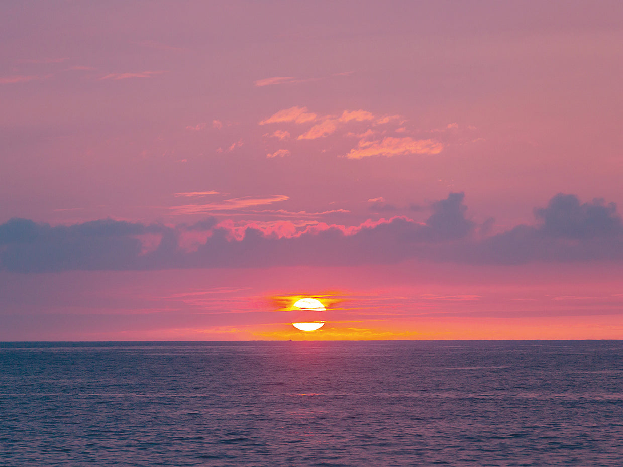 From Pink to Purple Sunset