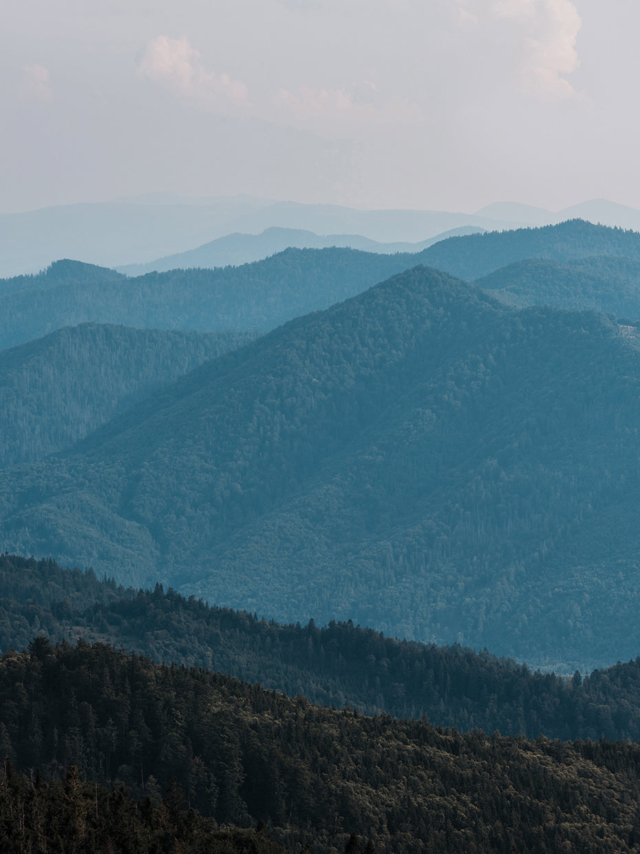 Misty Mountain Peace