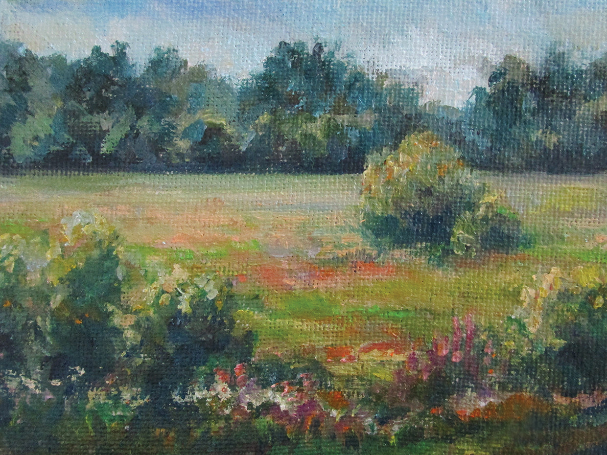 Encuéntrame en el lienzo de Summer Meadow