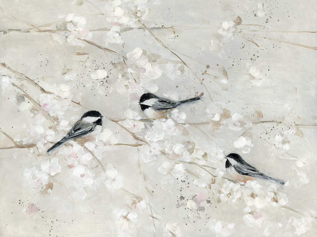 Nature's Confetti II