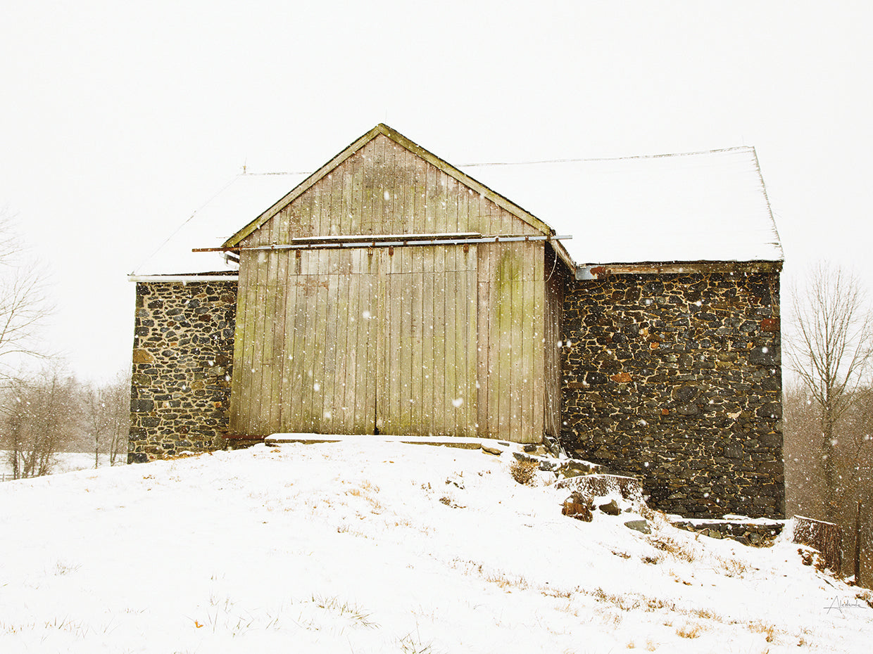 Majestic in the Snow