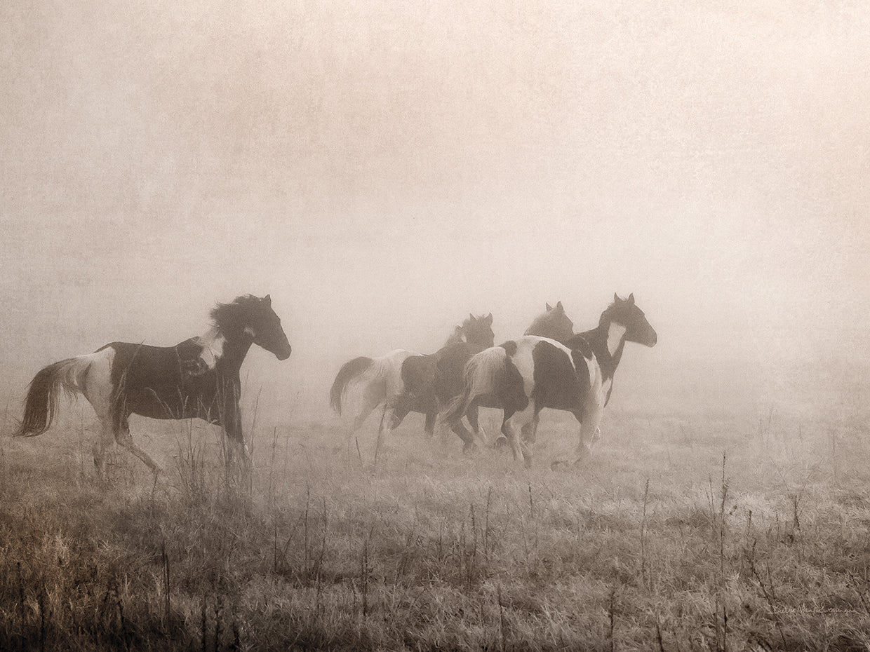 Paint Horses on the Run