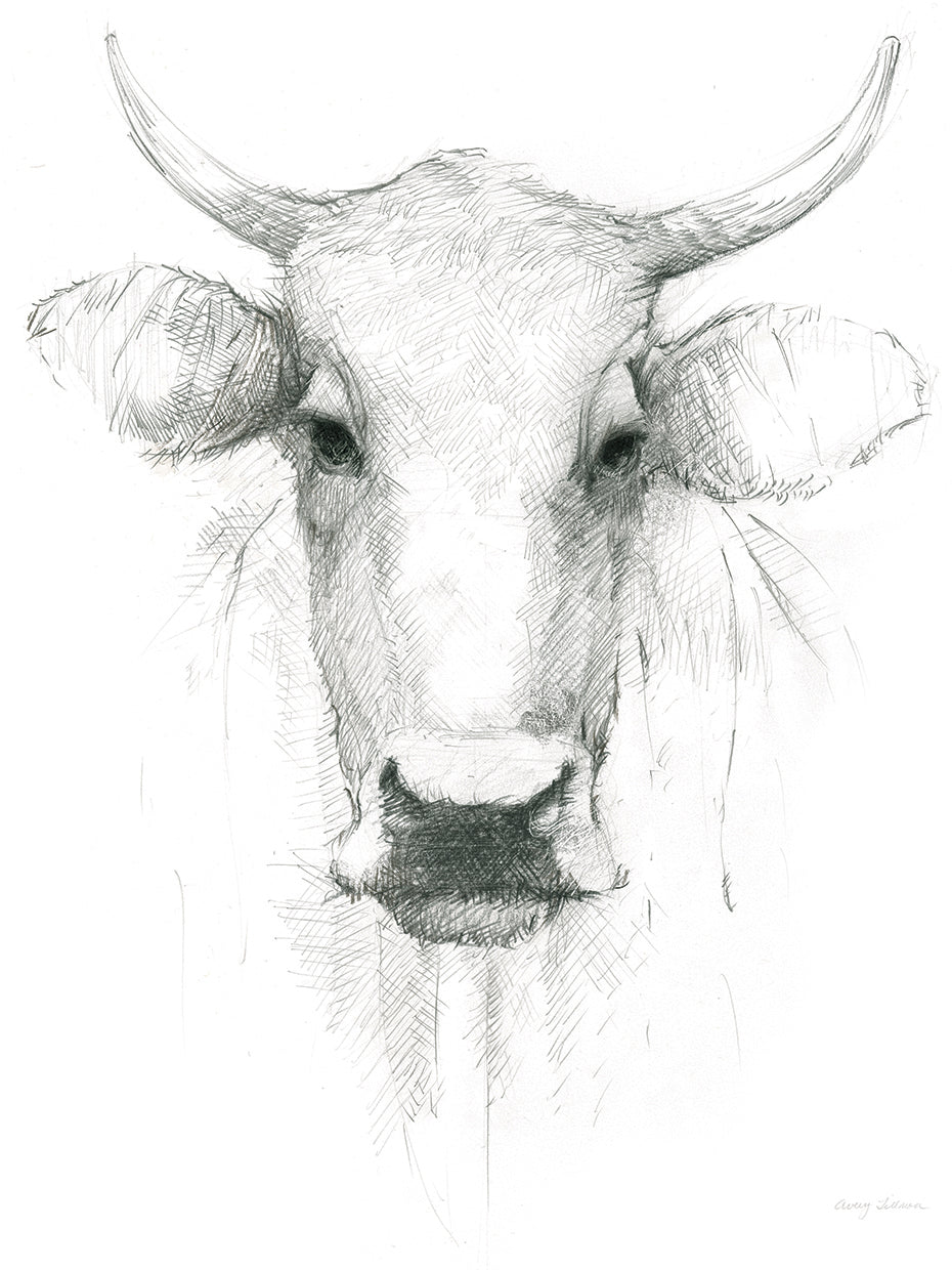 Cow Sketch