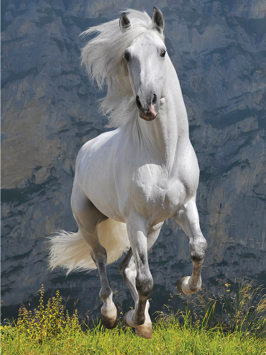 Silver Stallion Gallop
