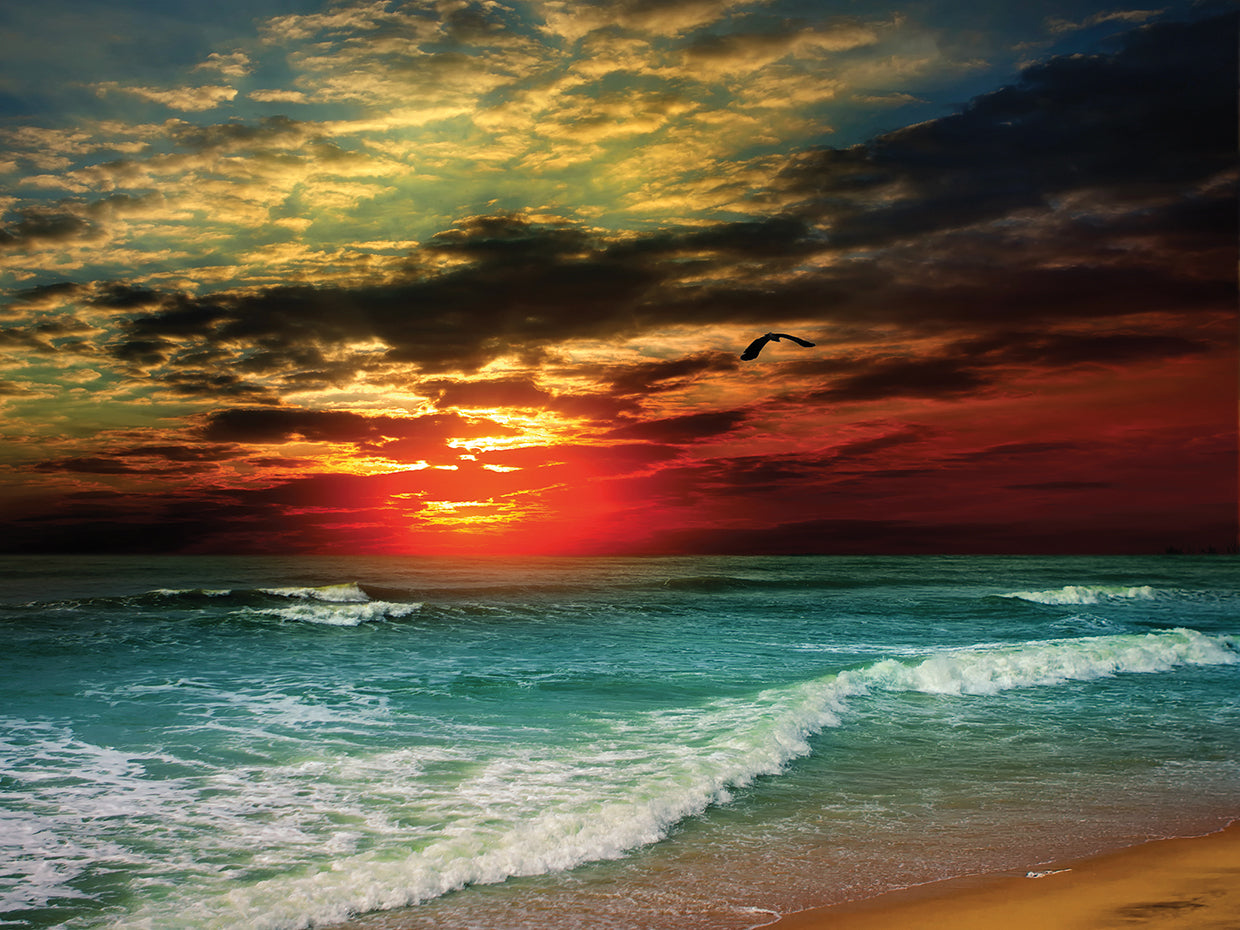 Puesta de sol india de Folly Beach Lienzo