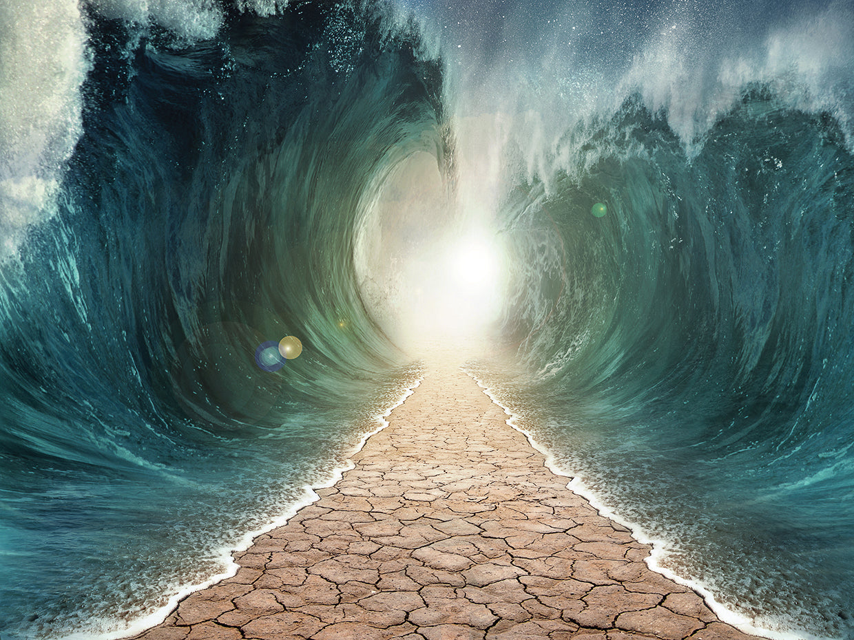 The Walls Were Waves