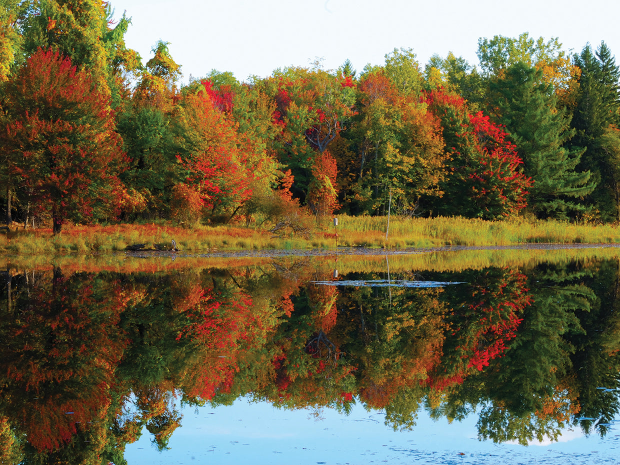 Late Septmbers Colors