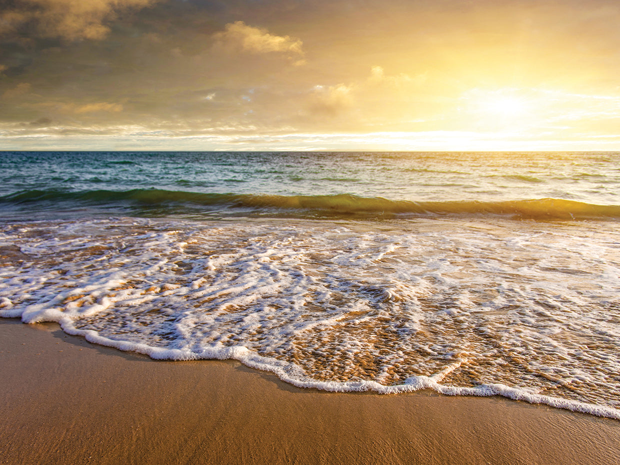 Velvet and Lace Beach