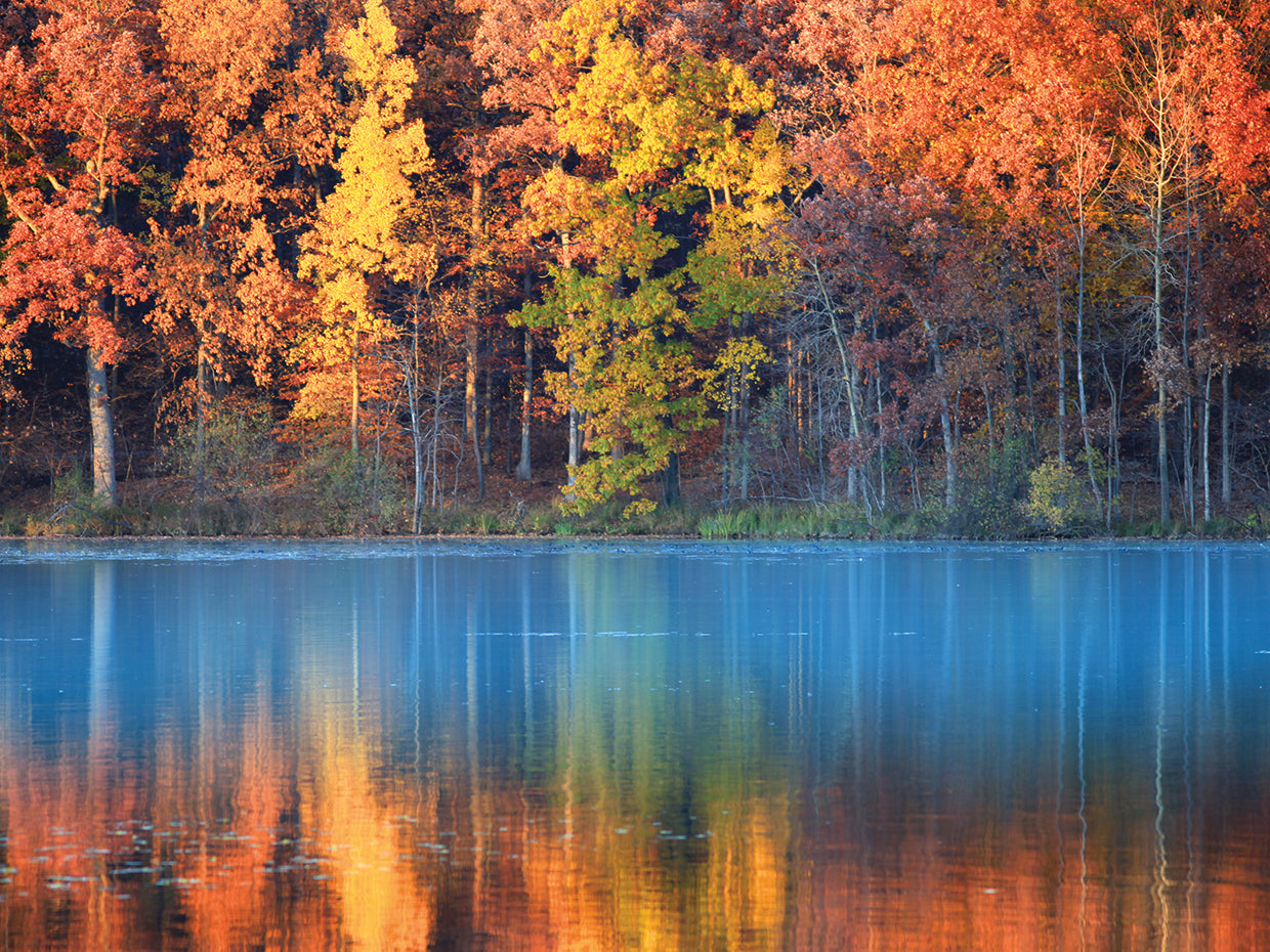 Hot and Cold Autumn Colors