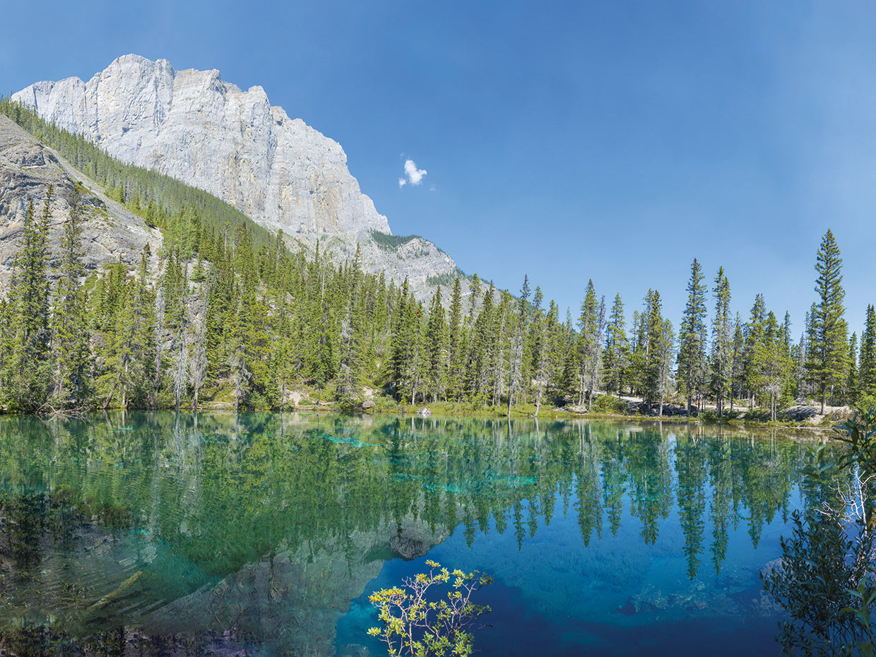 Lago Alberta Canadá Lienzo