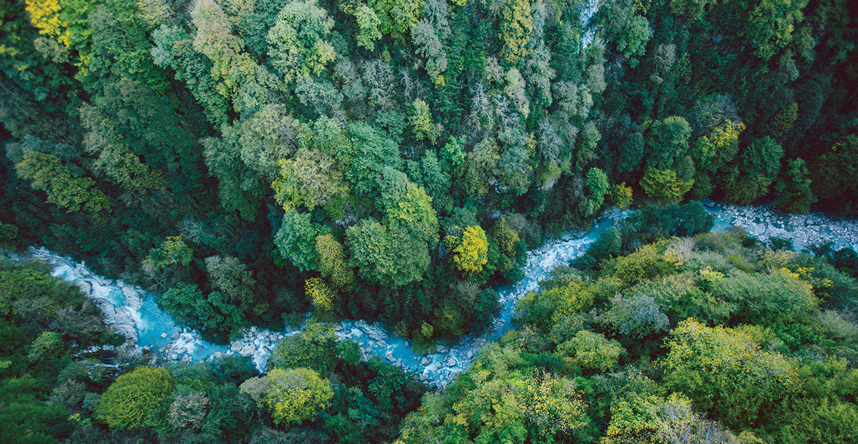 Río del bosque georgiano Lienzo