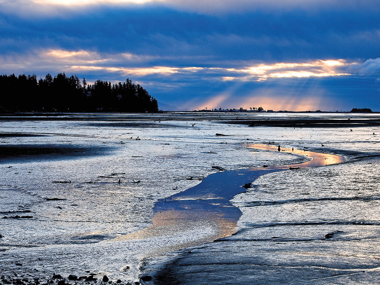 Reflections Along The Way