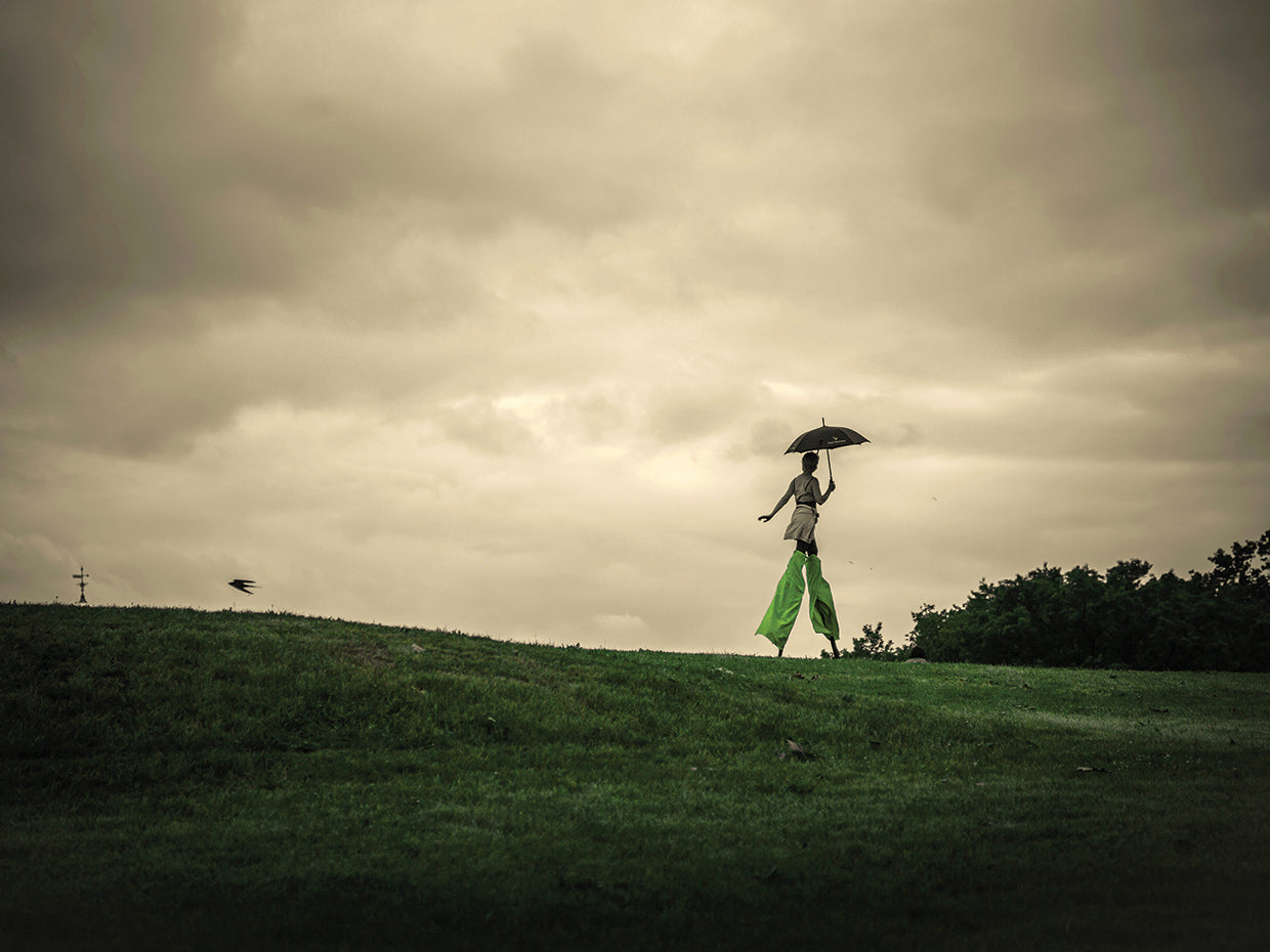 A Ordinary Afternoon