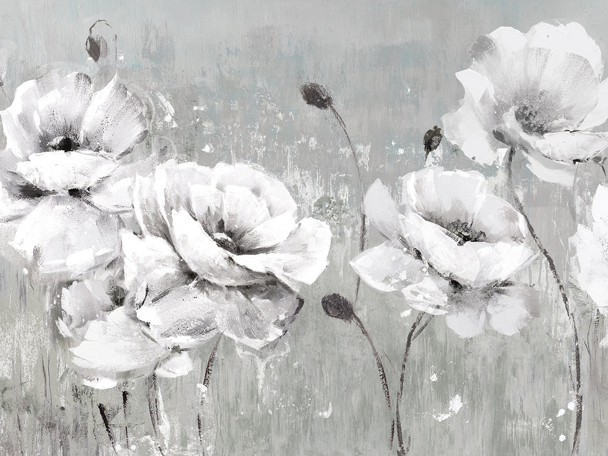 White Poppies Dance