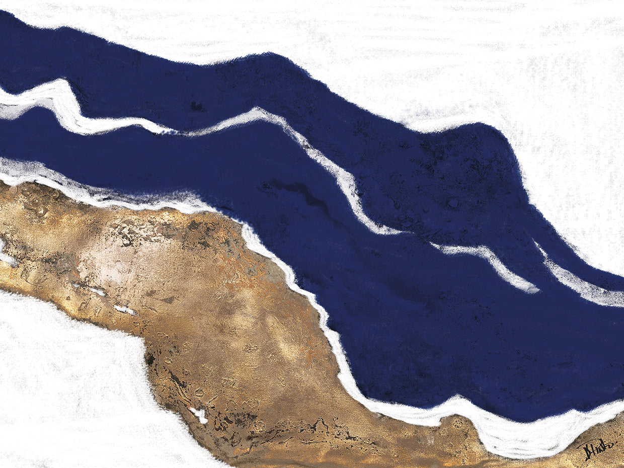 Navy and Gold Tierra I