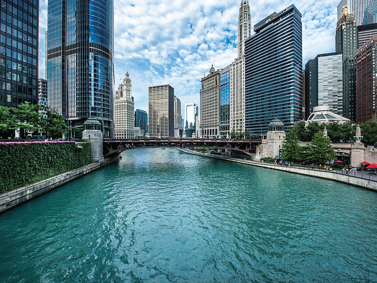 Chicago River View