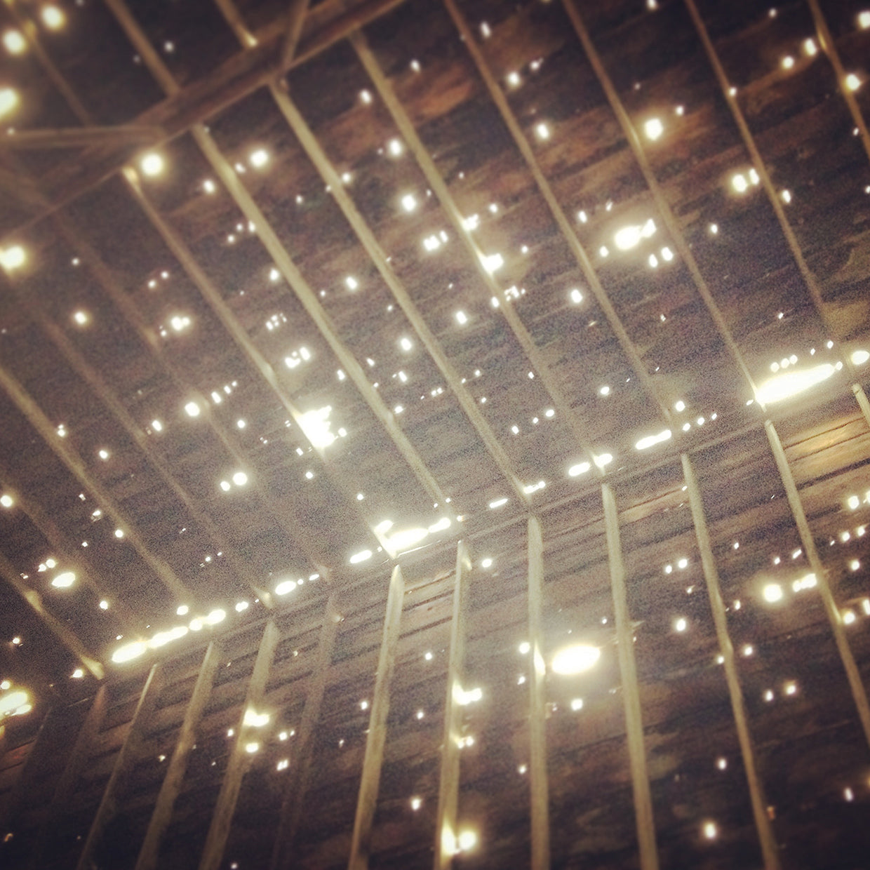 Moonbeams Through The Roof