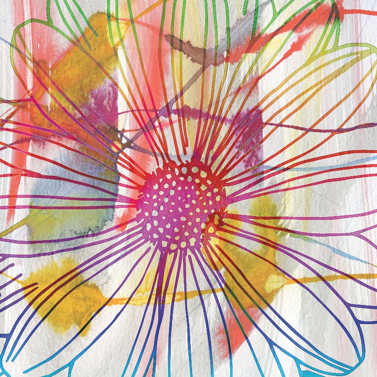 Tropical Adventure II