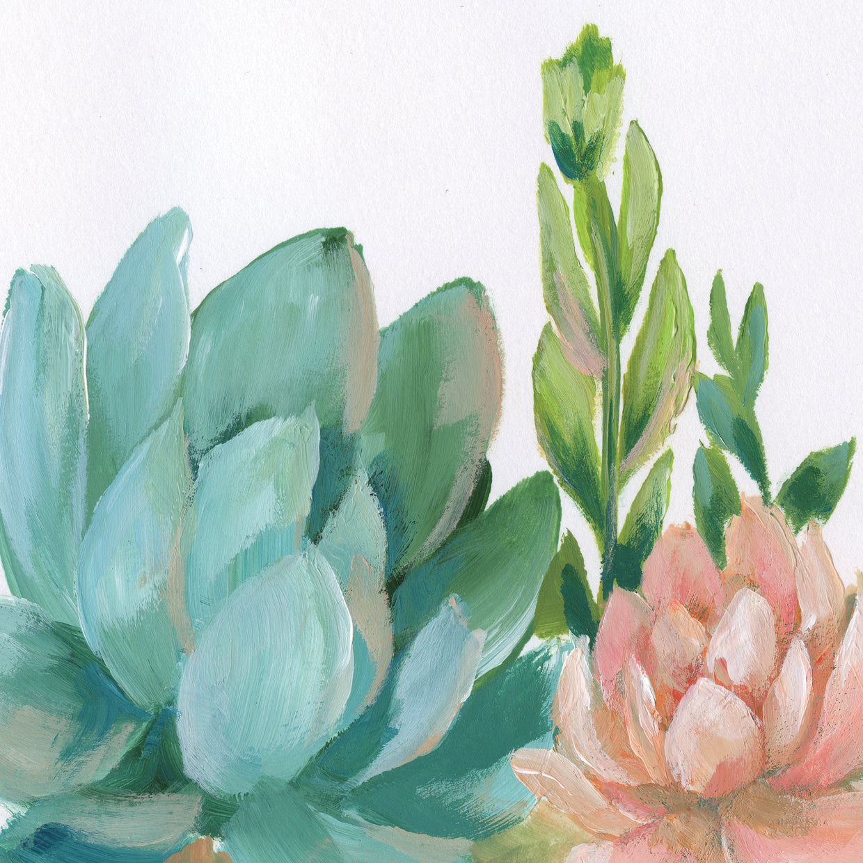 Pastel Succulent