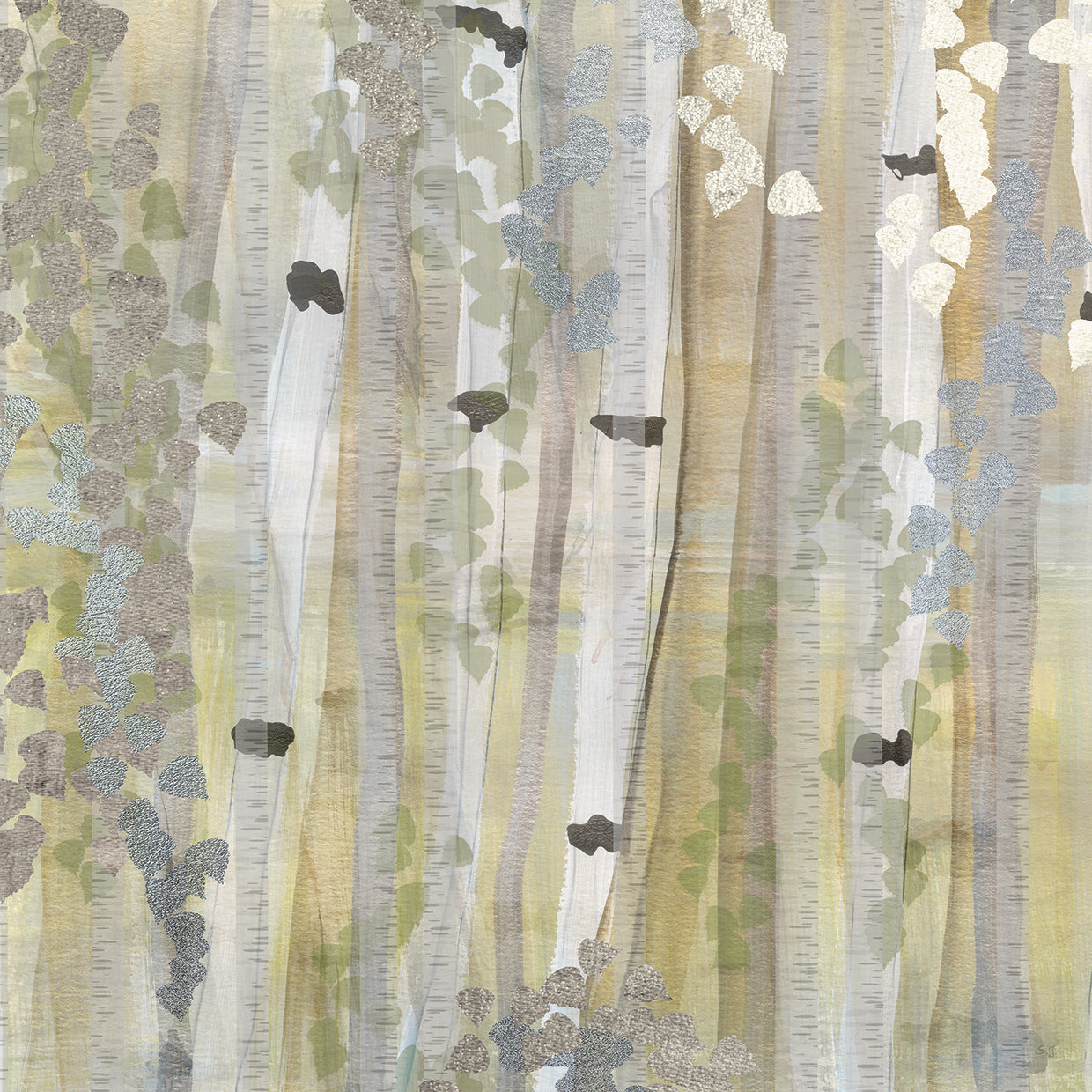 Spring Birch Grove I