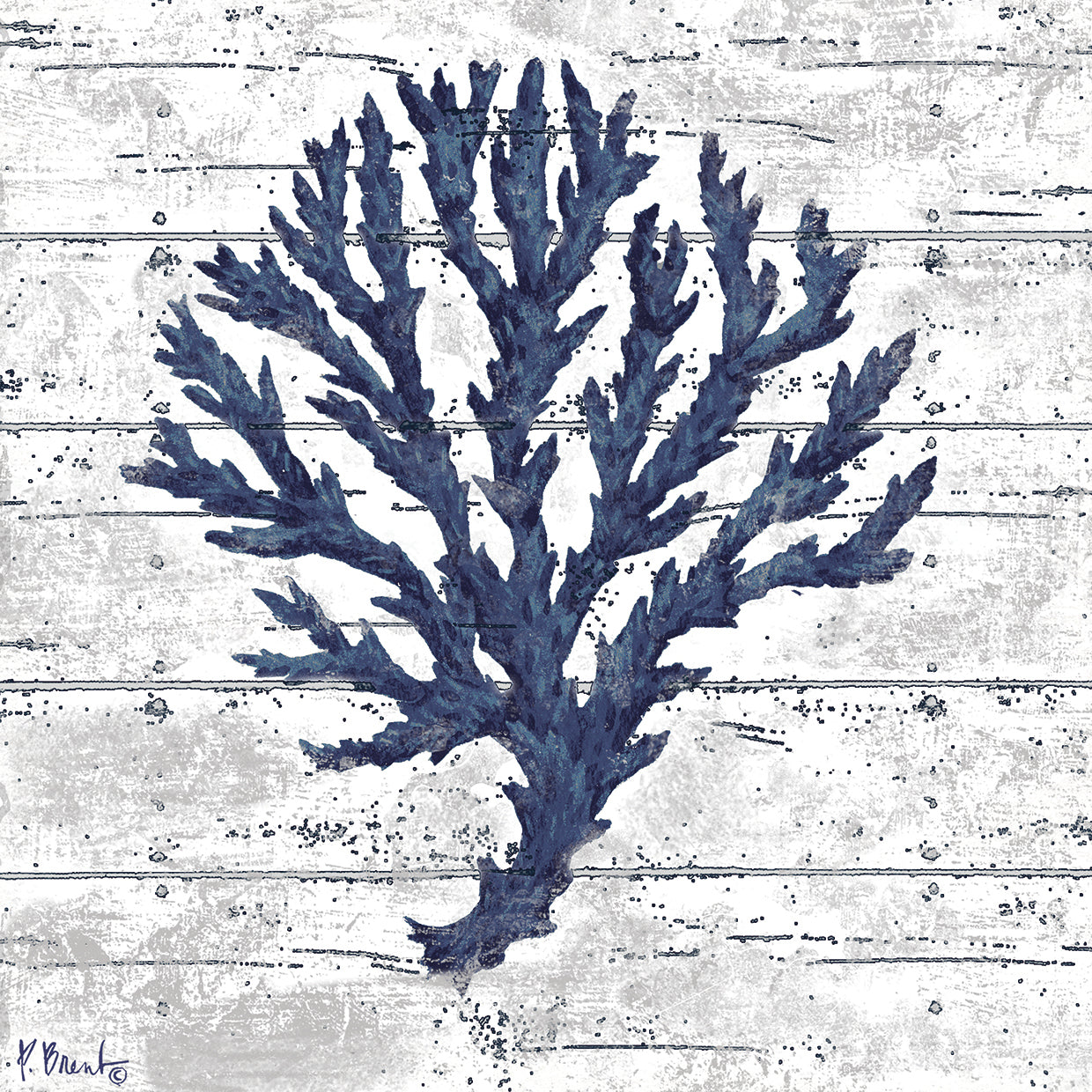 Cape Coral III “ White