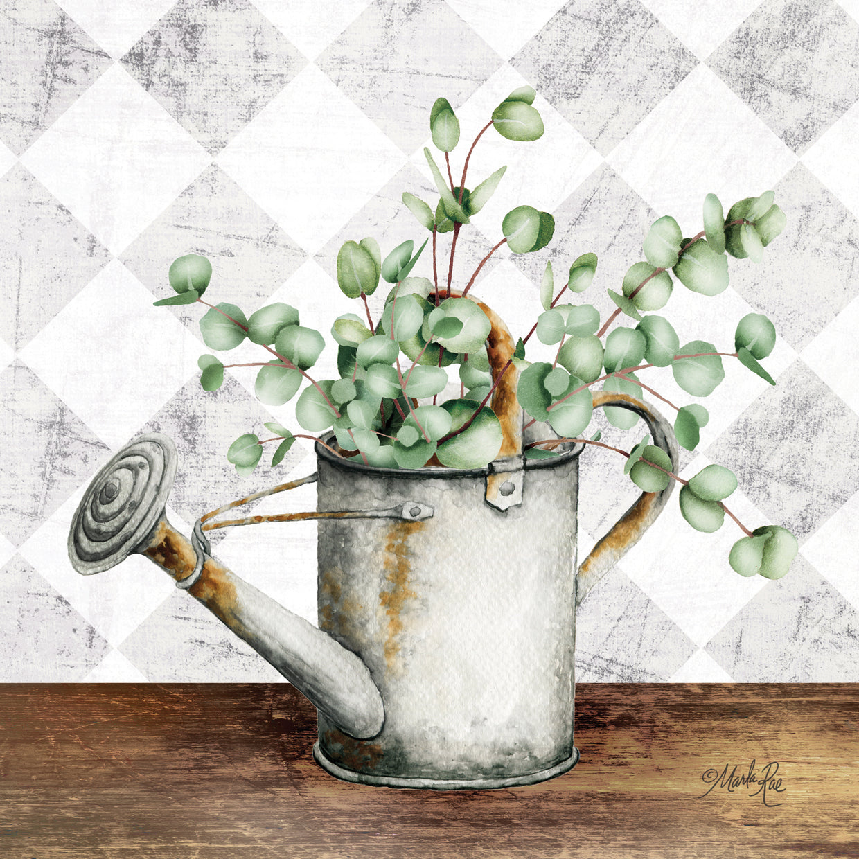 Eucalyptus White Watering Can