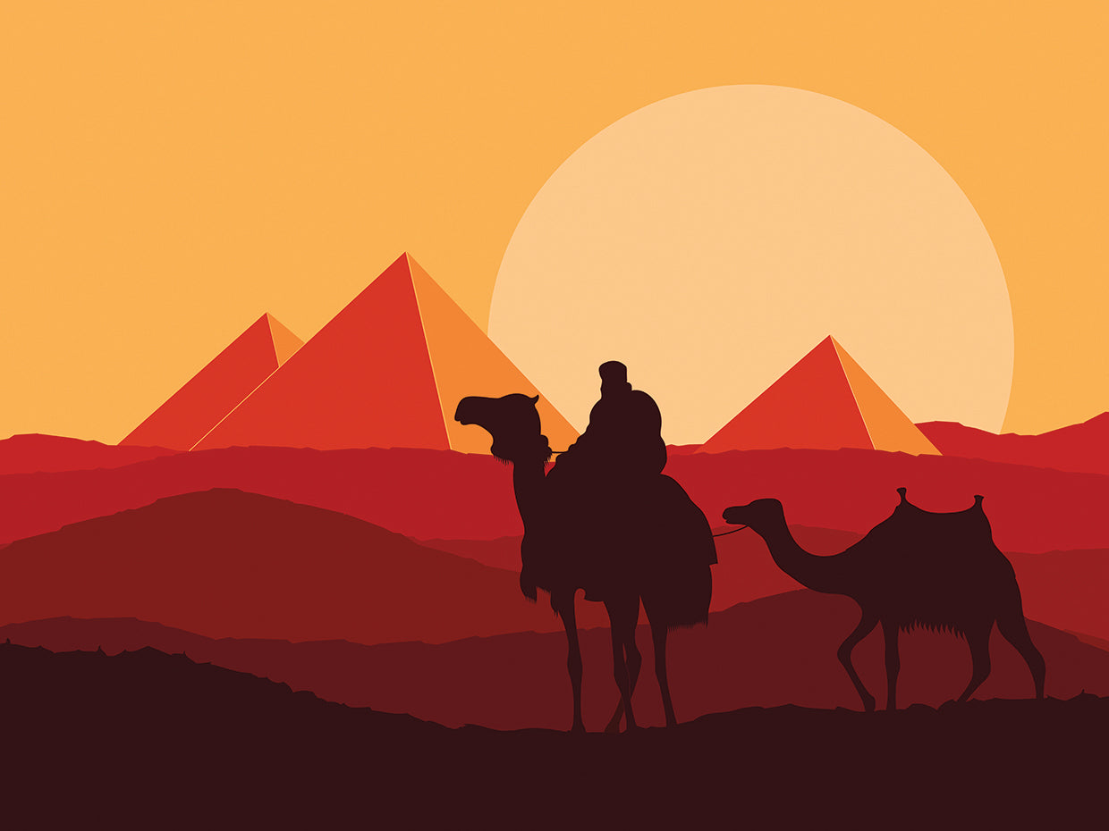 Camel Caravan Sunsets