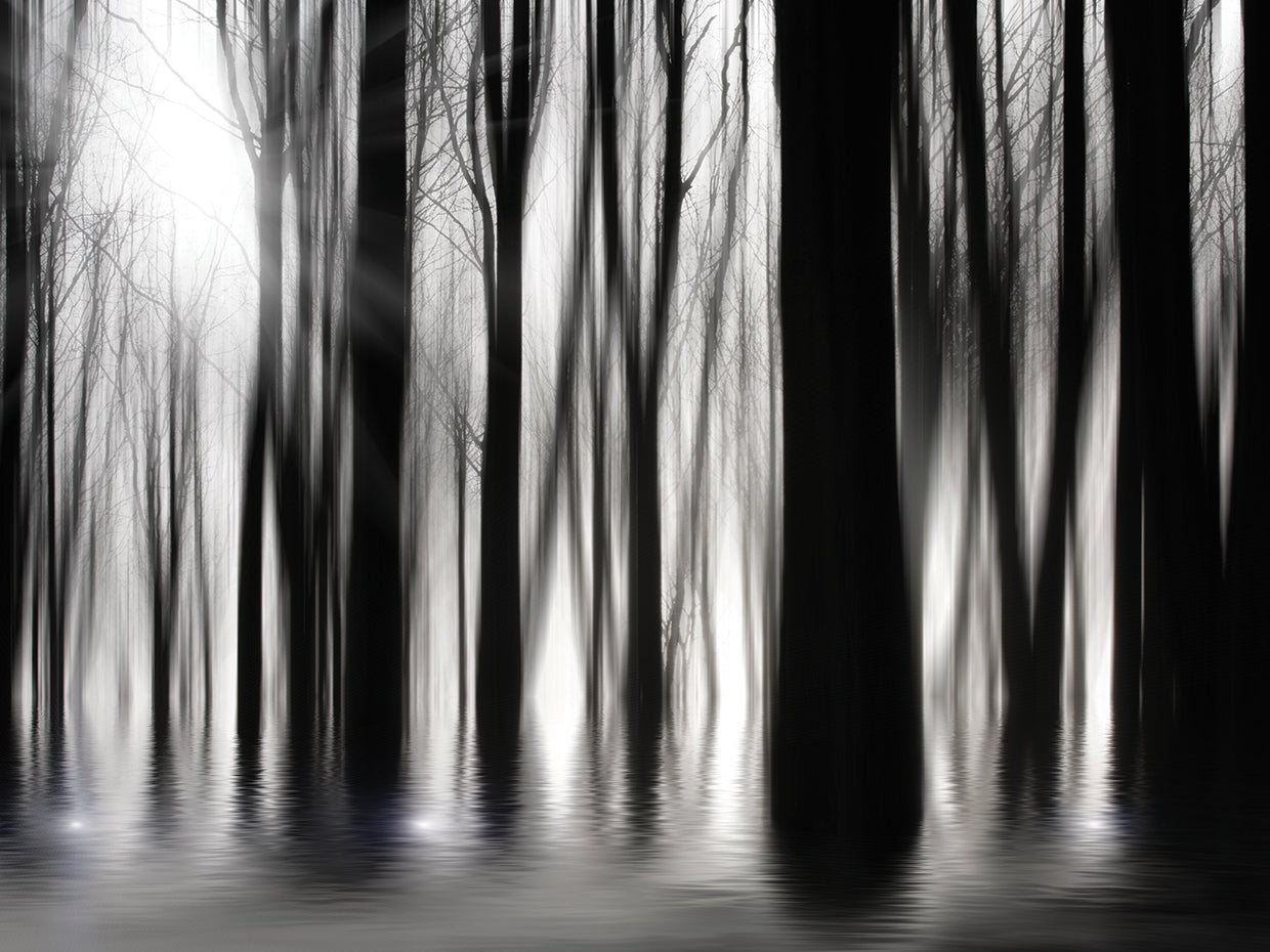 Ghostly Shimmer Forest