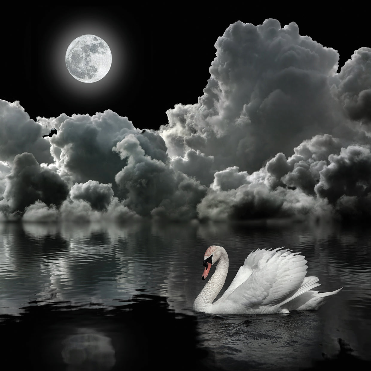 Moon Glide Swan