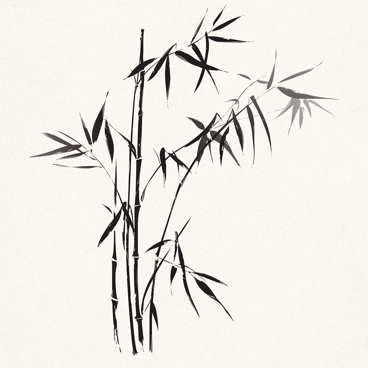 Beautiful Balance Bamboo