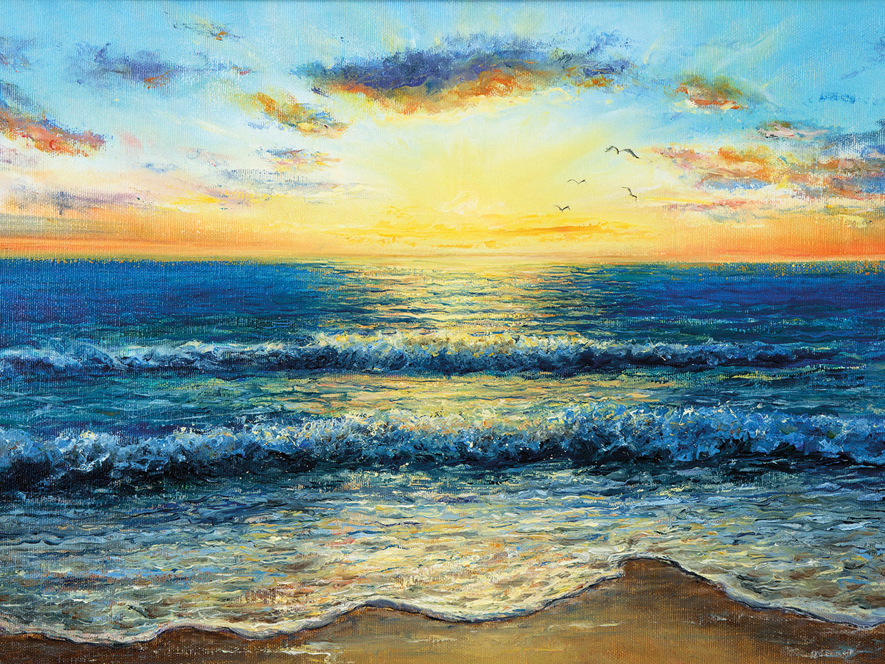 Seagull Sunset Ocean Waves