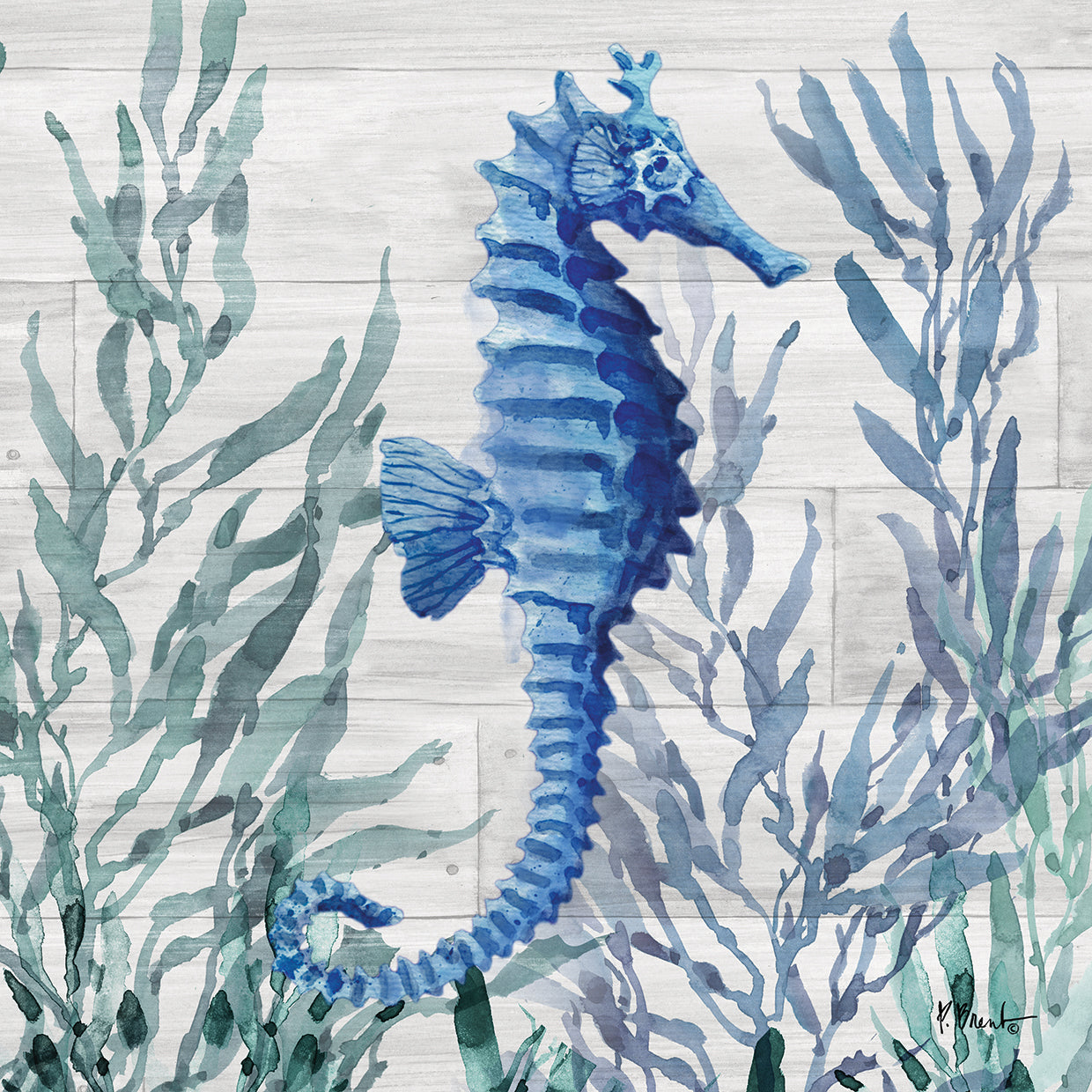 Lienzos Navarra Sealife III - Driftwood