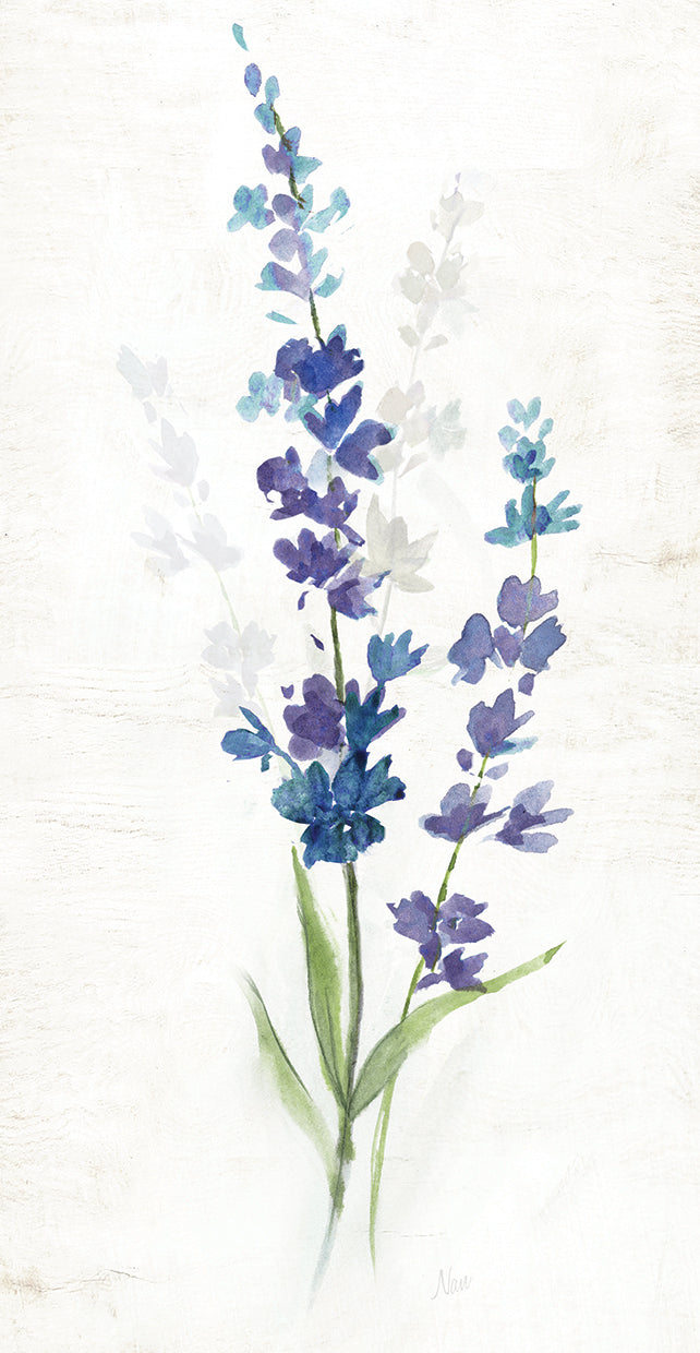 Fresh Cut Lavender II