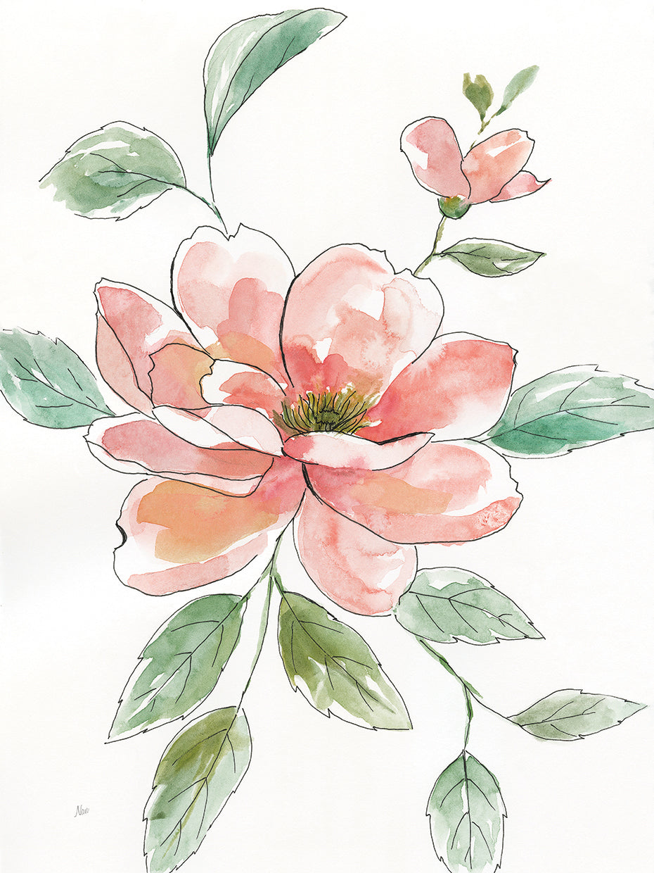 Peony Contour