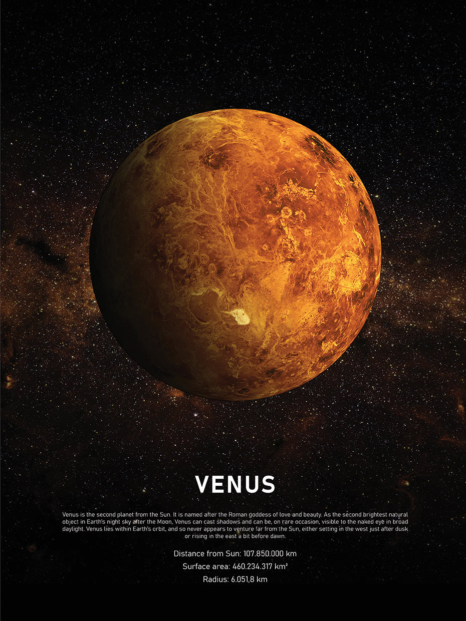 venus Lienzo